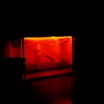 Interviu in exclusivitate: Locked Up