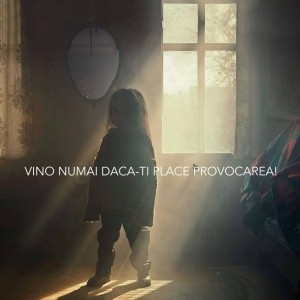 1779078_1121177291231156_2136099945104570789_n