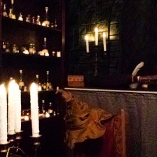 The Wizarding World of Harry Potter