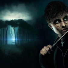 The Wizarding World of Harry Potter