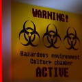 Interviu: Troll Escape Rooms despre Virus