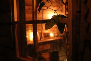 IMG_2037