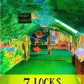 7 Locks